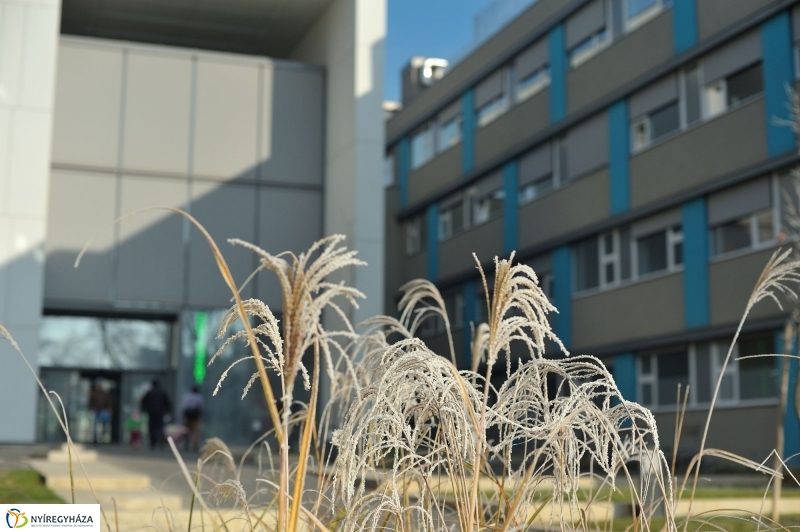 Electrolux adomány - fotó Szarka Lajos