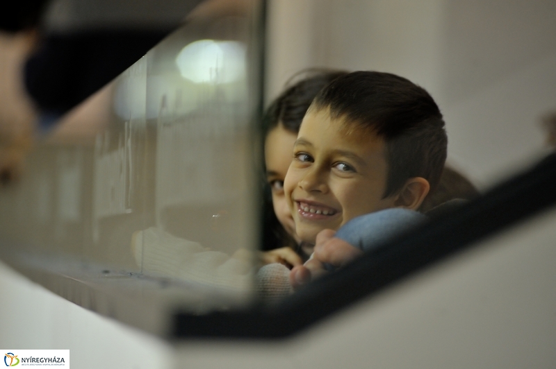 Futsal Magyarország -Spanyolország - fotó Szarka Lajos
