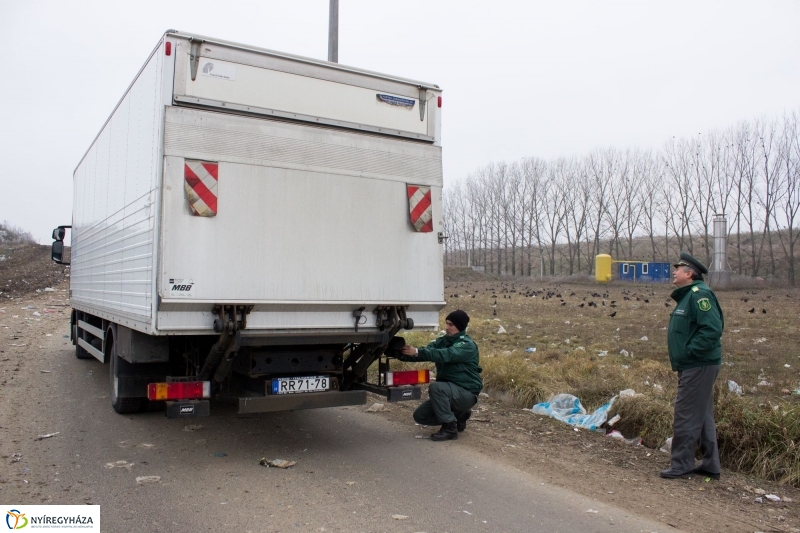 Dohányba gázoltak - fotó Szarka Lajos