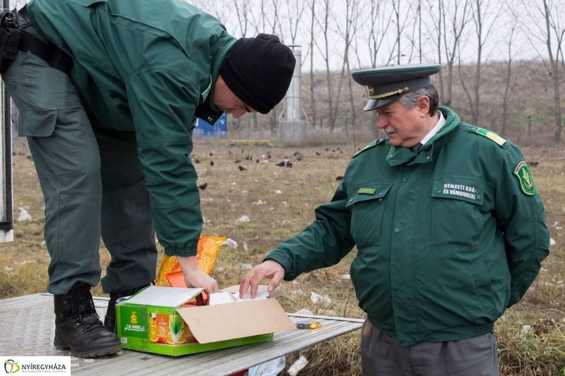 Dohányba gázoltak - fotó Szarka Lajos
