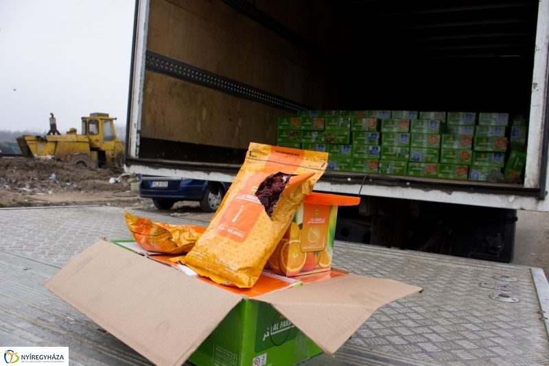 Dohányba gázoltak - fotó Szarka Lajos