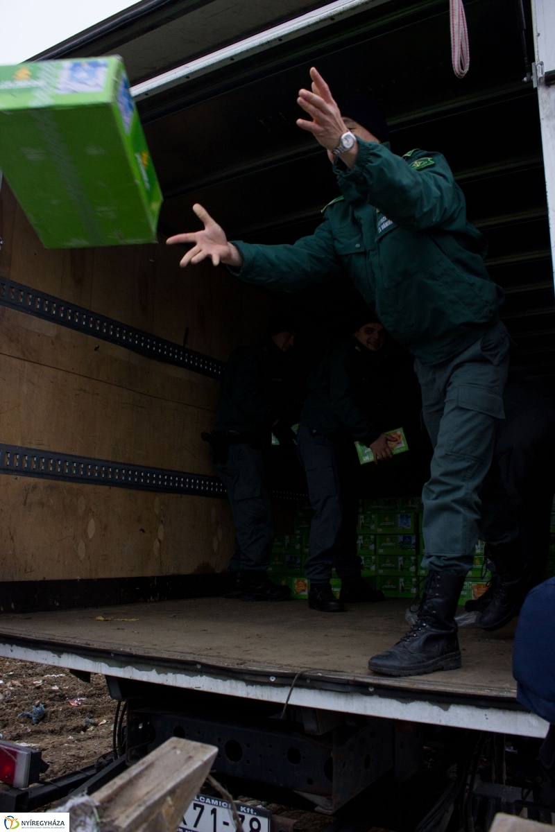 Dohányba gázoltak - fotó Szarka Lajos
