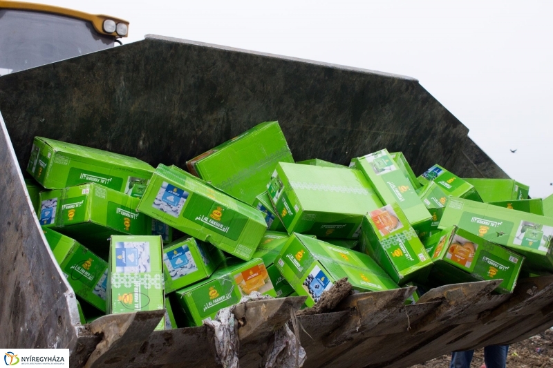 Dohányba gázoltak - fotó Szarka Lajos