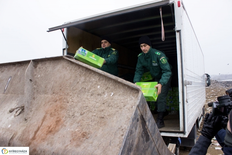 Dohányba gázoltak - fotó Szarka Lajos