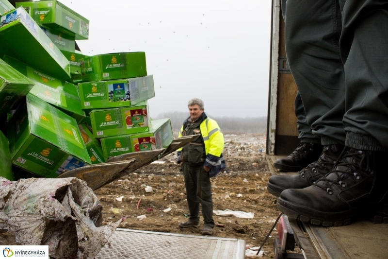 Dohányba gázoltak - fotó Szarka Lajos