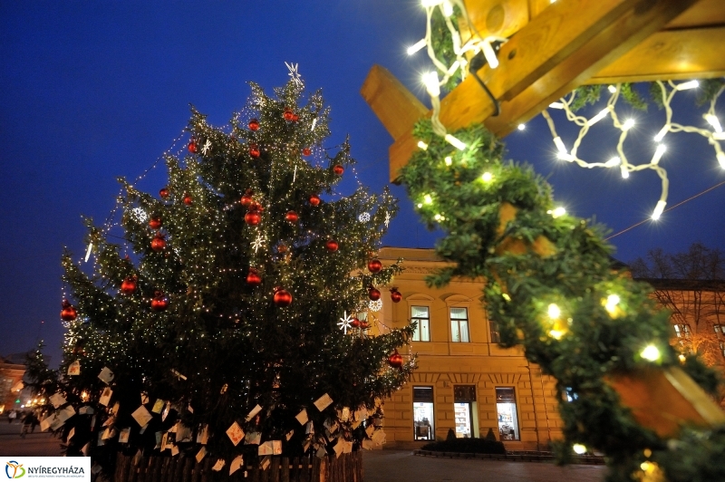 Ingyenes a lapcsánka 20161208 - fotó Szarka Lajos