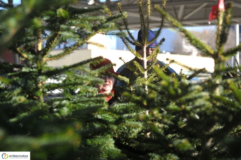 Karácsonyvárás a piacon - fotó Szarka Lajos