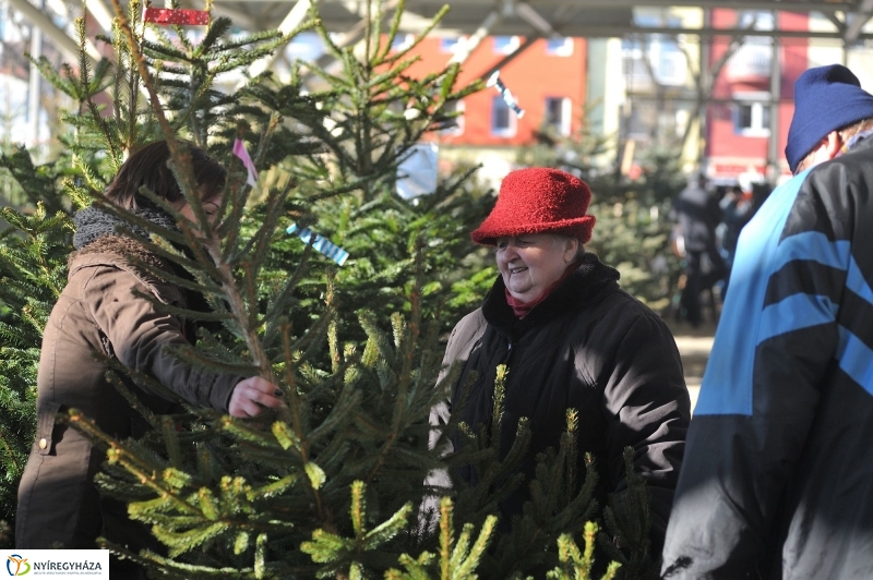 Karácsonyvárás a piacon - fotó Szarka Lajos