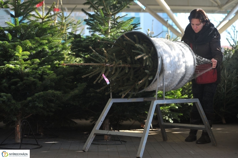 Karácsonyvárás a piacon - fotó Szarka Lajos