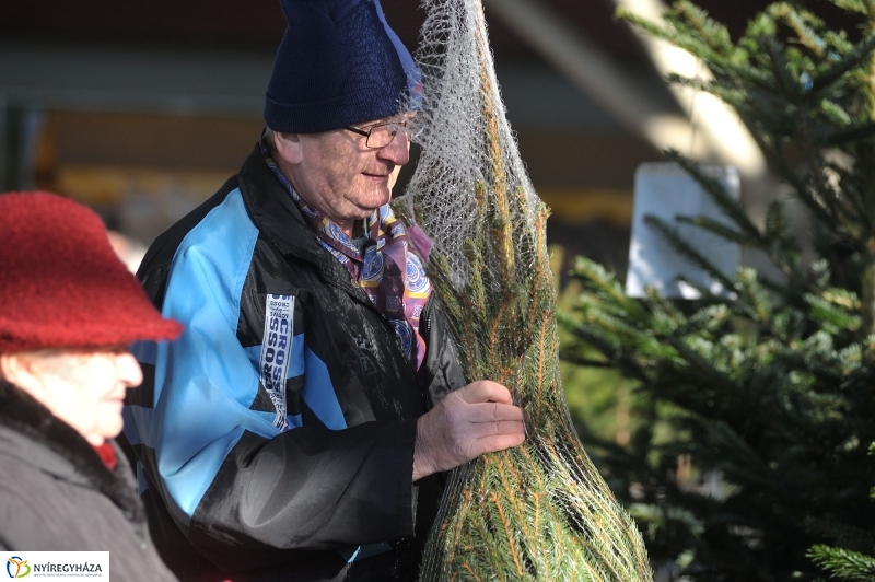 Karácsonyvárás a piacon - fotó Szarka Lajos