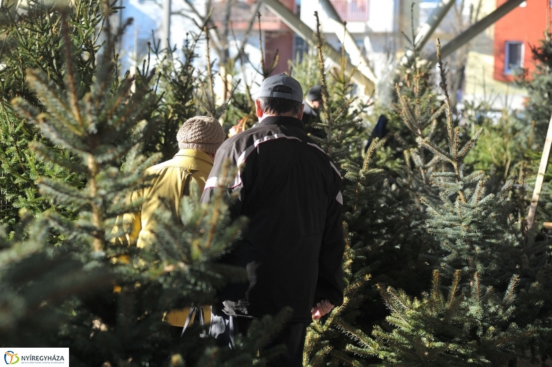 Karácsonyvárás a piacon - fotó Szarka Lajos