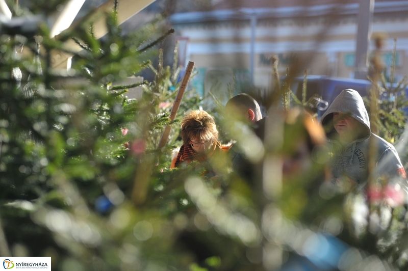 Karácsonyvárás a piacon - fotó Szarka Lajos