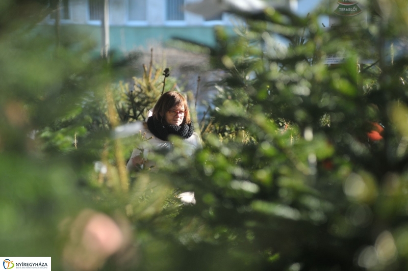 Karácsonyvárás a piacon - fotó Szarka Lajos