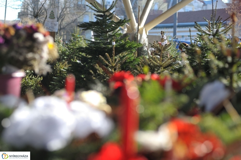 Karácsonyvárás a piacon - fotó Szarka Lajos