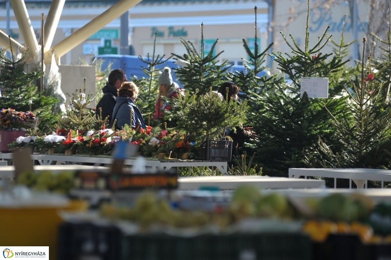 Karácsonyvárás a piacon - fotó Szarka Lajos