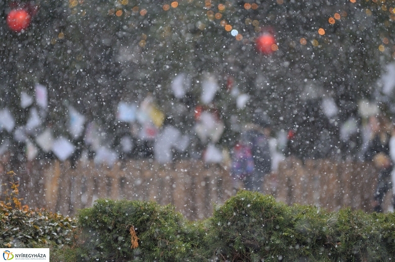 Hurrá, telelünk - fotó Szarka Lajos