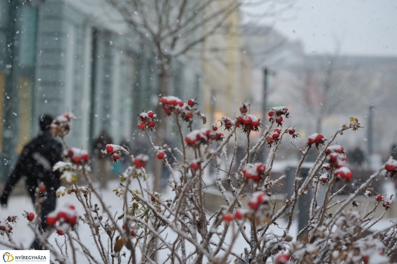 Hurrá, telelünk - fotó Szarka Lajos
