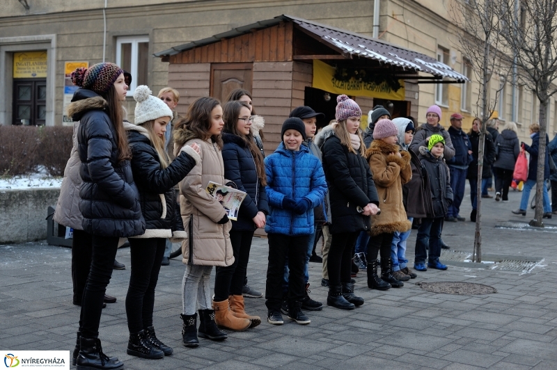 Kutyainvázió a belvárosban - fotó Szarka Lajos