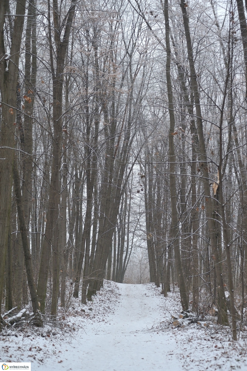 Téli mese képekben - fotó Szarka Lajos