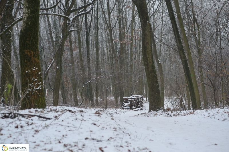 Téli mese képekben - fotó Szarka Lajos