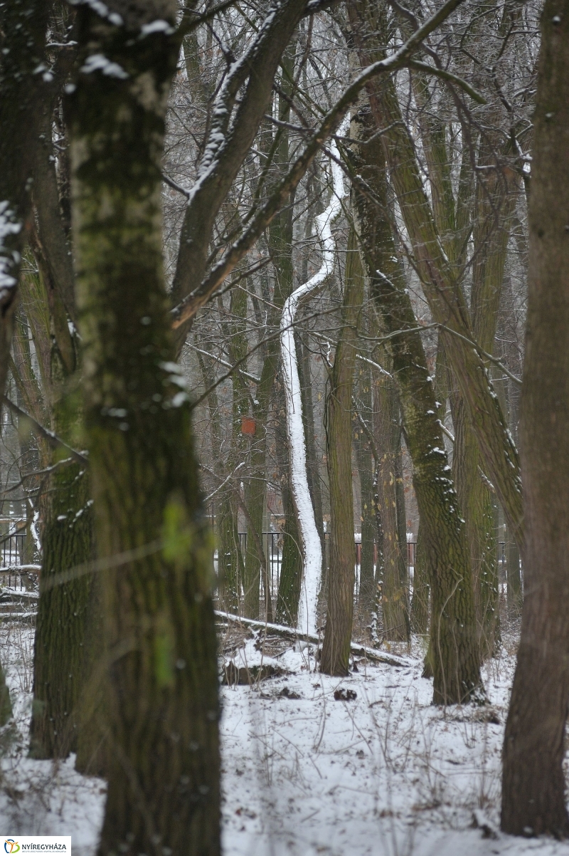 Téli mese képekben - fotó Szarka Lajos