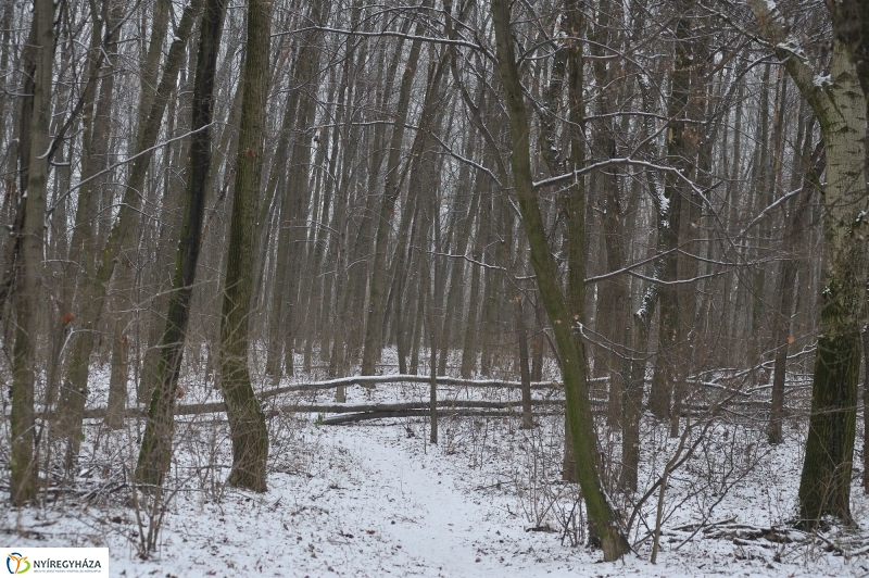 Téli mese képekben - fotó Szarka Lajos