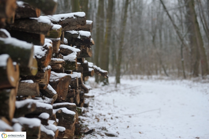 Téli mese képekben - fotó Szarka Lajos