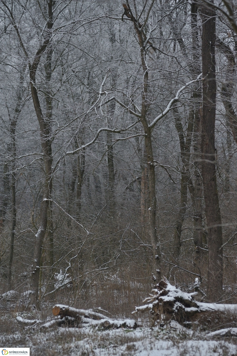 Téli mese képekben - fotó Szarka Lajos