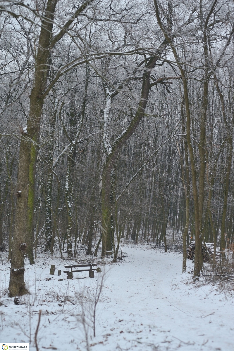 Téli mese képekben - fotó Szarka Lajos