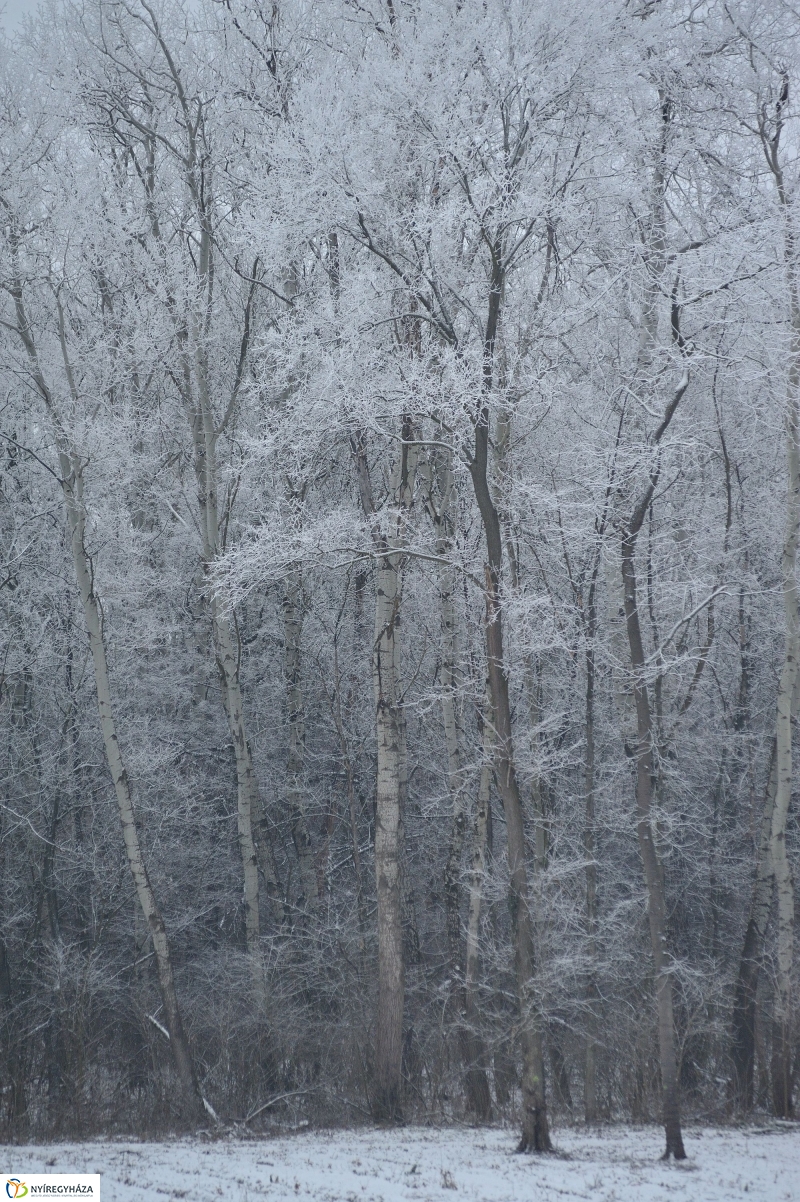 Téli mese képekben - fotó Szarka Lajos