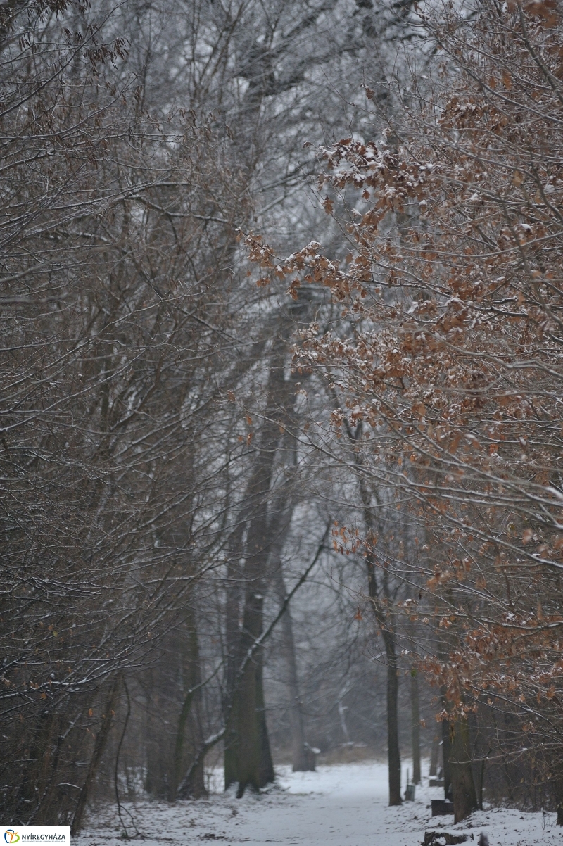 Téli mese képekben - fotó Szarka Lajos