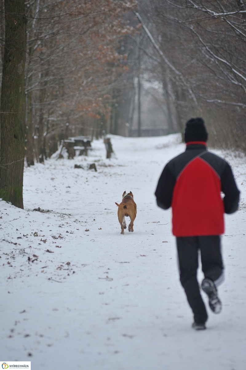Téli mese képekben - fotó Szarka Lajos