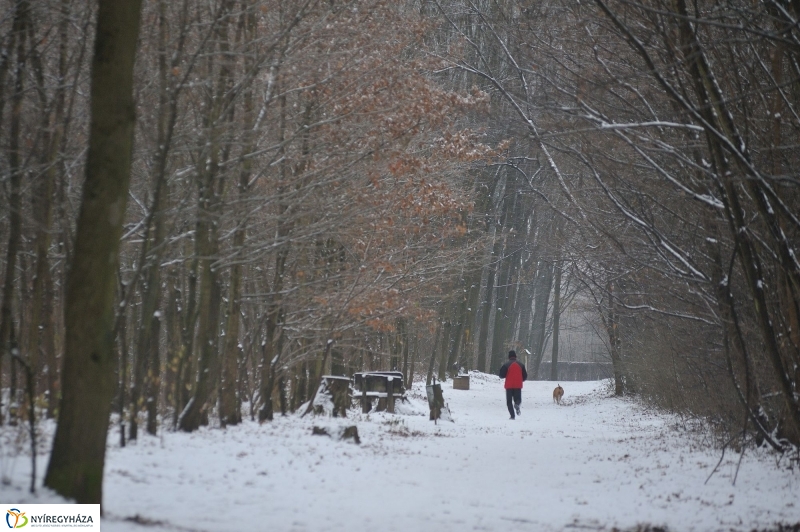 Téli mese képekben - fotó Szarka Lajos
