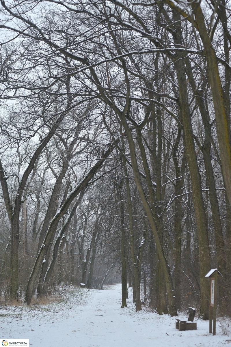 Téli mese képekben - fotó Szarka Lajos
