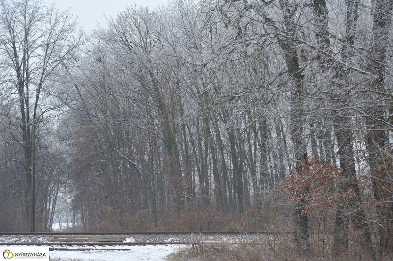 Téli mese képekben - fotó Szarka Lajos