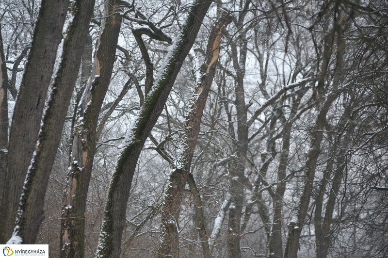 Téli mese képekben - fotó Szarka Lajos