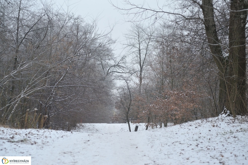 Téli mese képekben - fotó Szarka Lajos