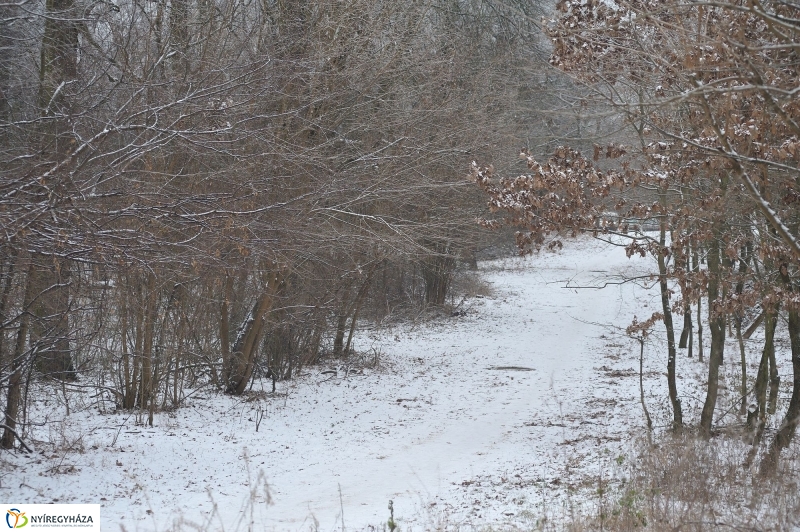 Téli mese képekben - fotó Szarka Lajos