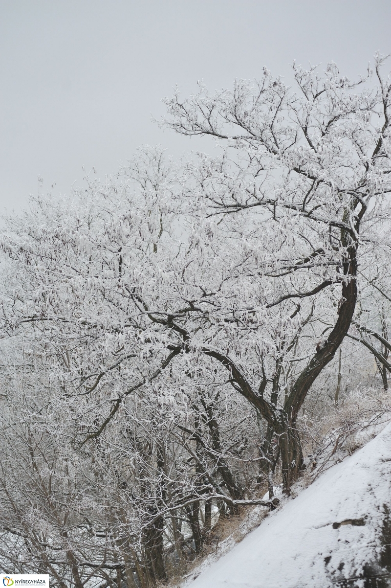 Téli mese képekben - fotó Szarka Lajos