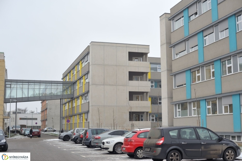 Adomány négy keréken - fotó Szarka Lajos