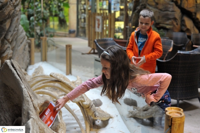 Kincskeresés az Állatparkban - fotó Szarka Lajos