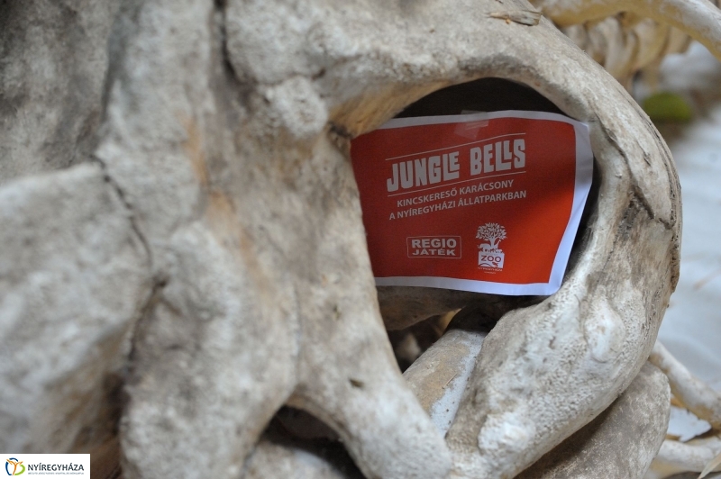 Kincskeresés az Állatparkban - fotó Szarka Lajos