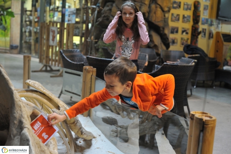 Kincskeresés az Állatparkban - fotó Szarka Lajos