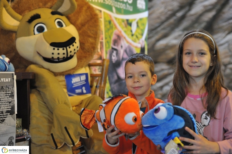 Kincskeresés az Állatparkban - fotó Szarka Lajos