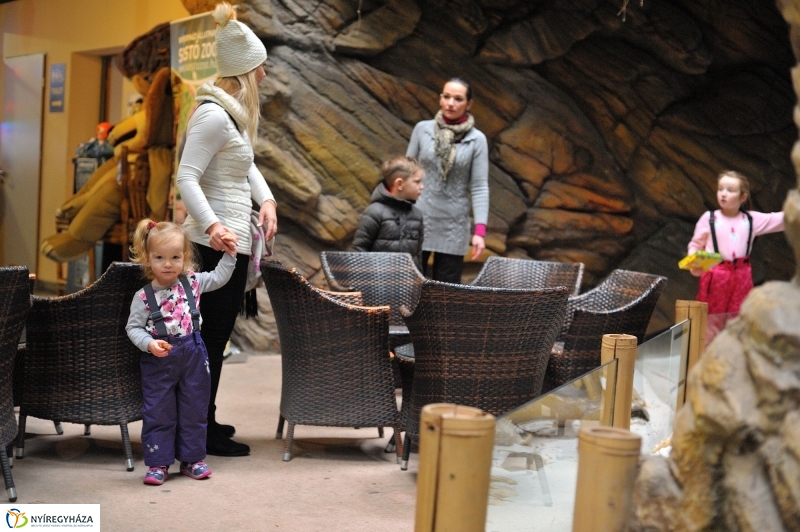 Kincskeresés az Állatparkban - fotó Szarka Lajos