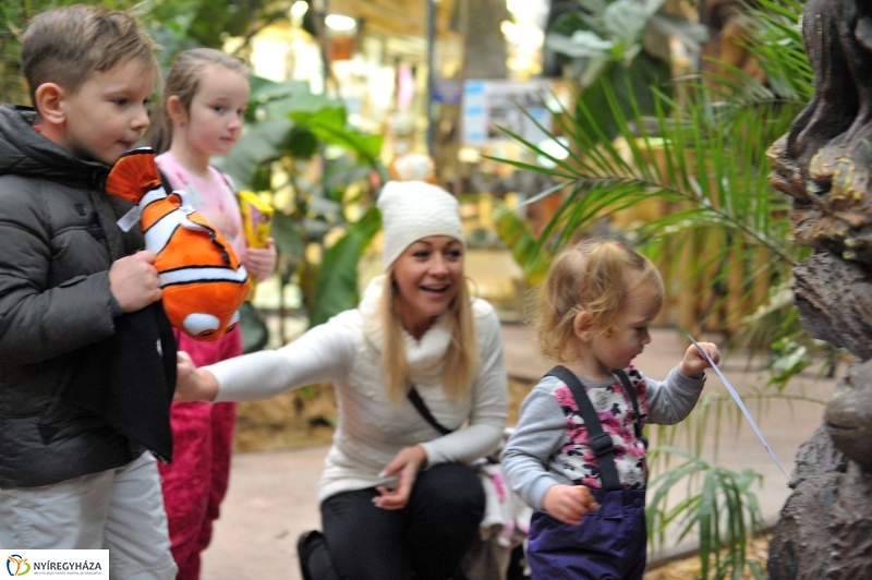 Kincskeresés az Állatparkban - fotó Szarka Lajos