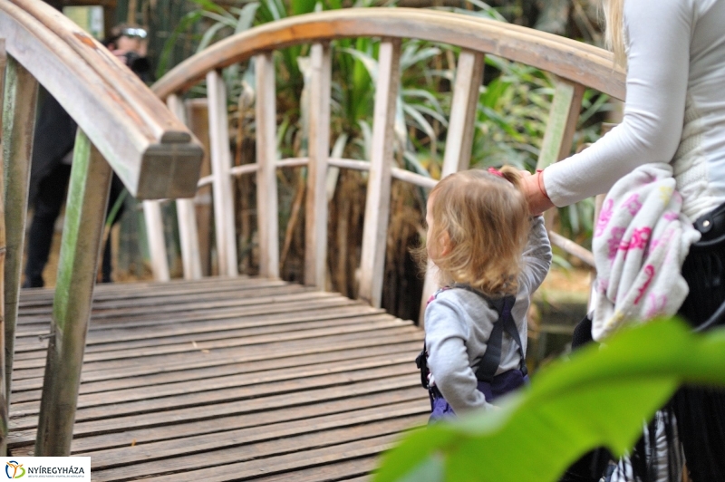 Kincskeresés az Állatparkban - fotó Szarka Lajos