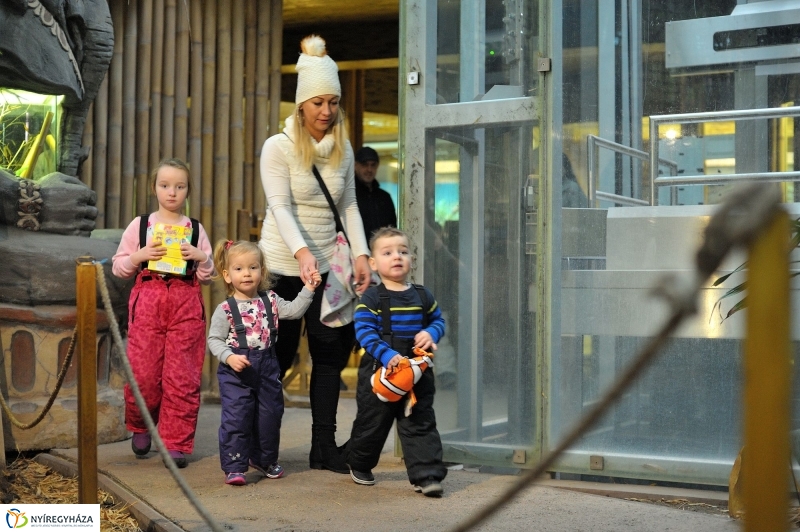 Kincskeresés az Állatparkban - fotó Szarka Lajos