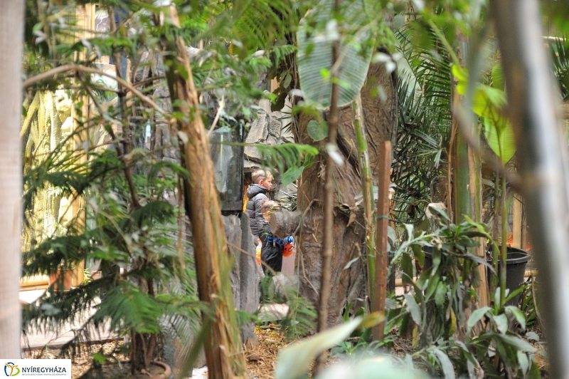 Kincskeresés az Állatparkban - fotó Szarka Lajos