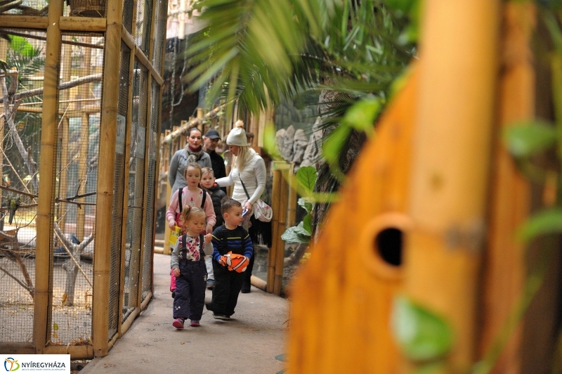 Kincskeresés az Állatparkban - fotó Szarka Lajos